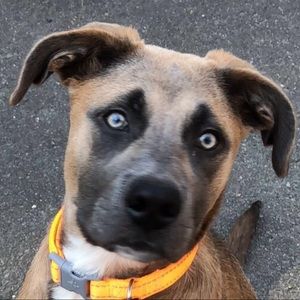 Meet your Posher, Zach